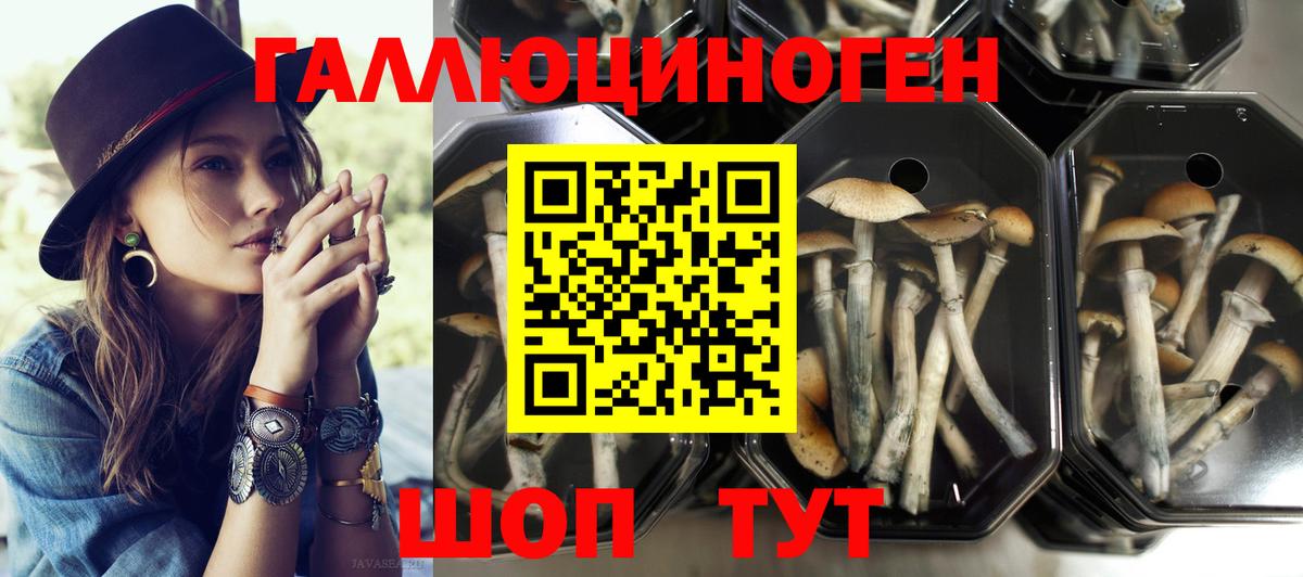 Галлюциногенные грибы мицелий  Псилоцибиновые грибы MAGIC MUSHROOMS  Вход с VPN  Горно-Алтайск 