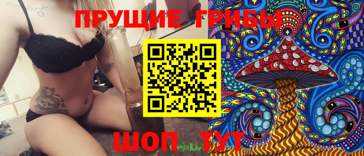 Псилоцибиновые грибы ЛСД Горно-Алтайск